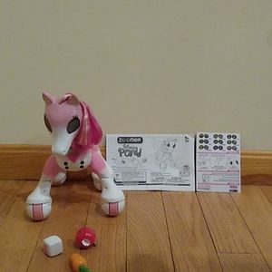 Zoomer Show pony